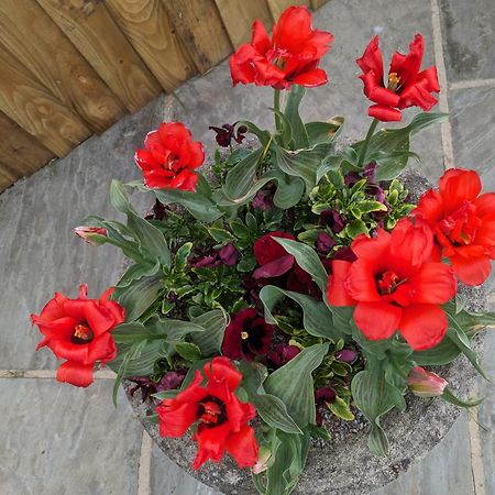 Rosegarth Bed And Breakfast Marton  Exterior foto